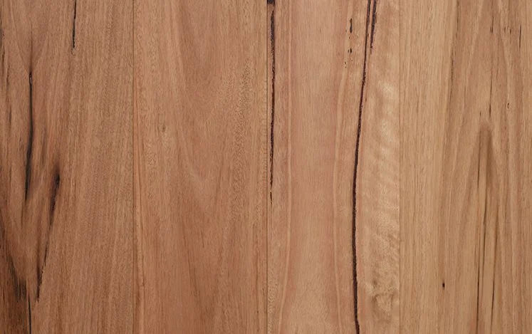 Australian Select Timbers Opulence Native Engineered Timber Flooring 14/3mm 136mm Authentic Blackbutt 2130mm Bevelled Edge Swatch
