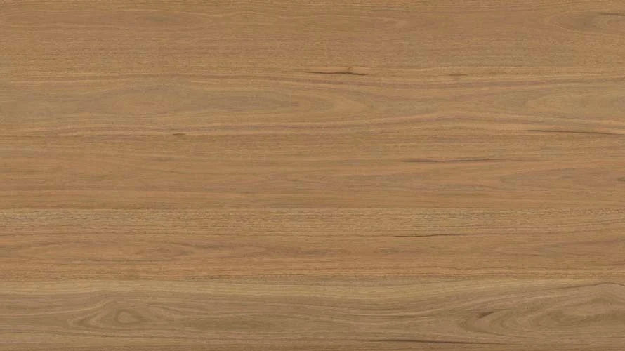 Clever Choice Shield Everlast Laminate Flooring 10mm Atlantic Spotted Gum flooring swatch