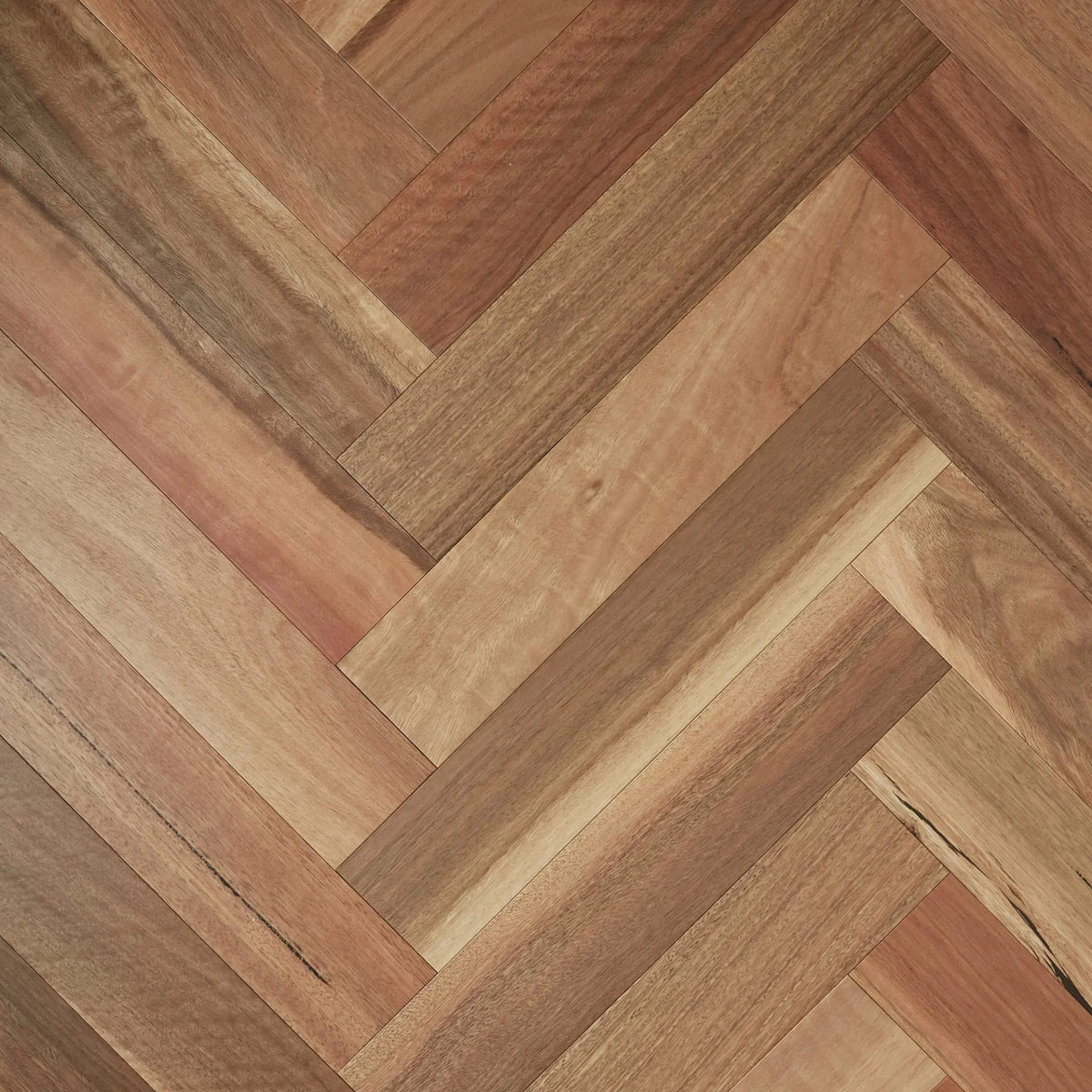 Preference Fiddleback Australian Hardwood Herringbone Engineered Timber Flooring 14/3mm Spotted Gum Swatch