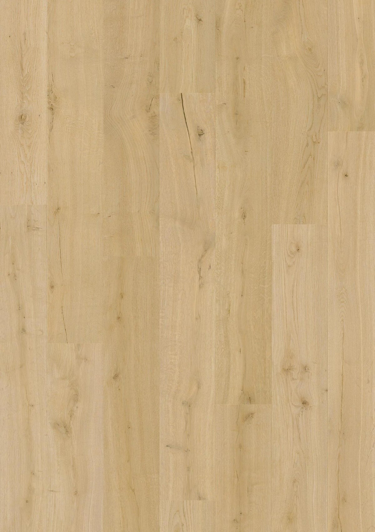 Quick-Step Impressive Laminate Flooring 8mm Cotton Oak Swatch