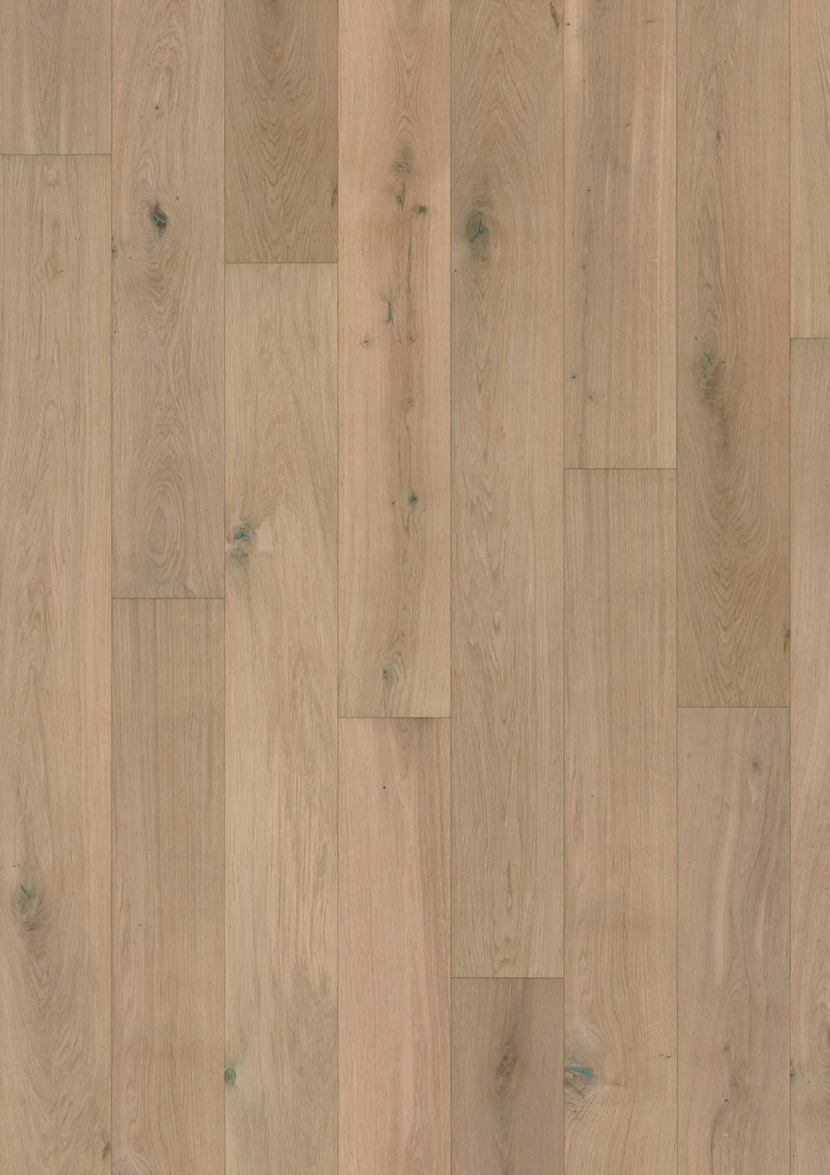 The Flooring Lab Forever Engineered European Oak Flooring 14mm