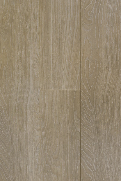 Topdeck Prime Contemporary Plus+ AC4, 12.3mm