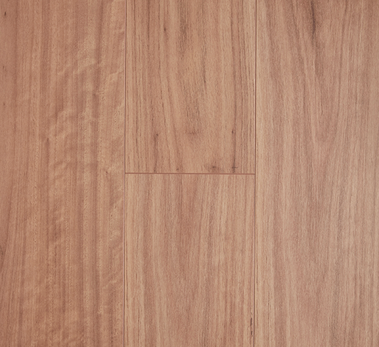 Preference Aquastop Kronoswiss Blackbutt Swatch 12mm