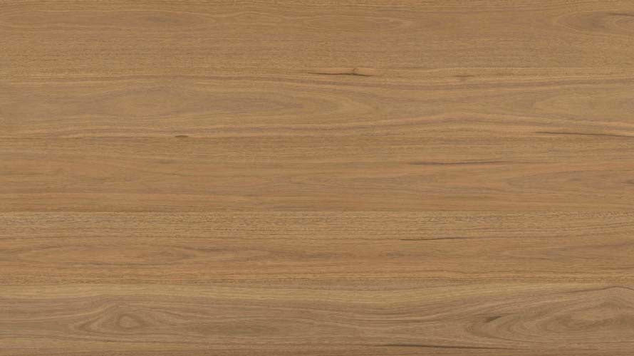 Clever Choice Shield Everlast Laminate 10mm