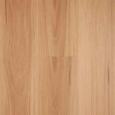 Natural Blackbutt