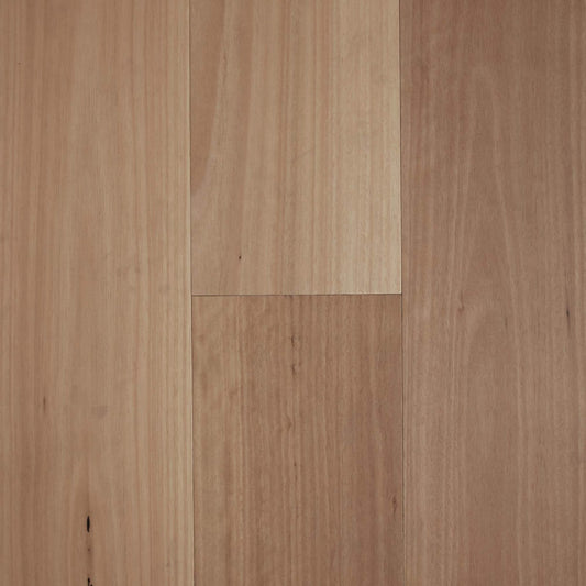 Preference Fiddleback Hardwood Smooth Blackbutt Swatch 14/3mm