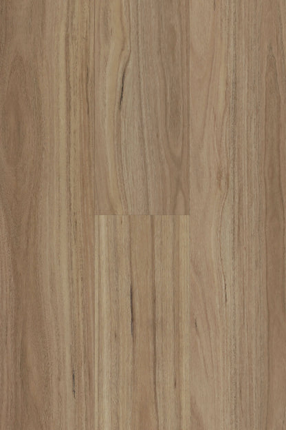 Topdeck Lumière Ultra HD 7mm Blackbutt Hybrid Flooring Swatch