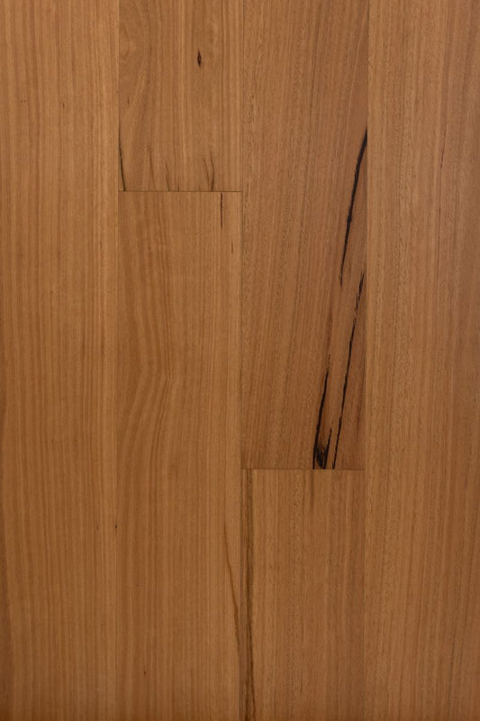 HTT Eucaly Engineered Hardwood 5G 14/3mm