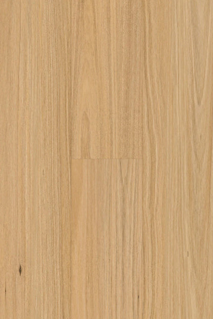 Topdeck Amor Laminate Pantora AC5 12mm