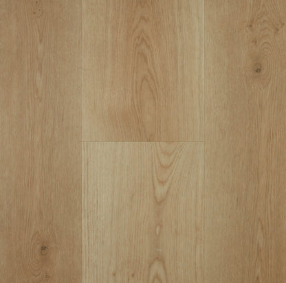 Preference Lifestyle Hybrid