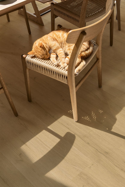 Quick Step Bloom Brushed Oak Setting 6mm