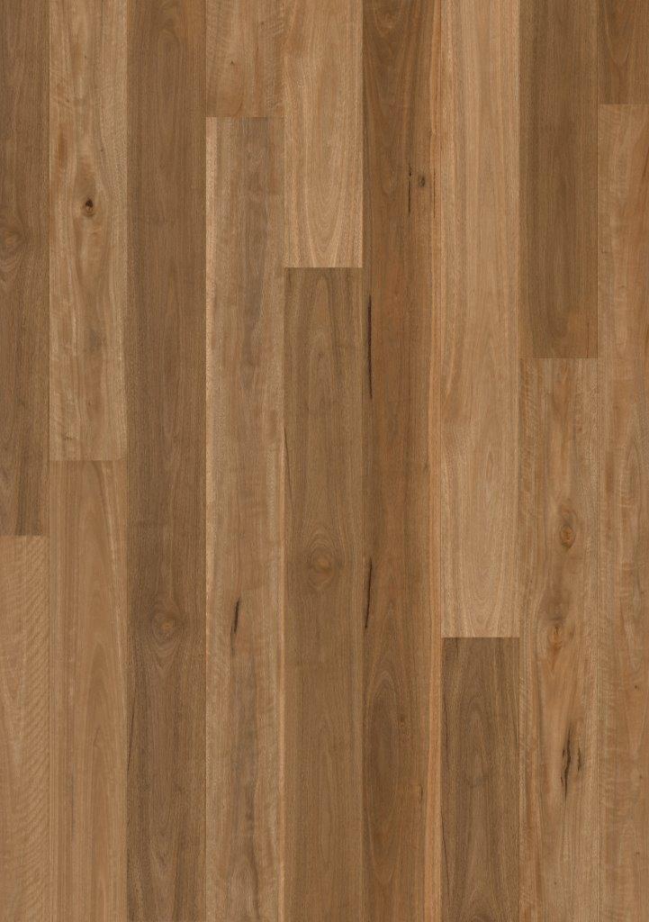 Premium Floors Quick Step Cascada Engineered Timber Floors 14/3mm