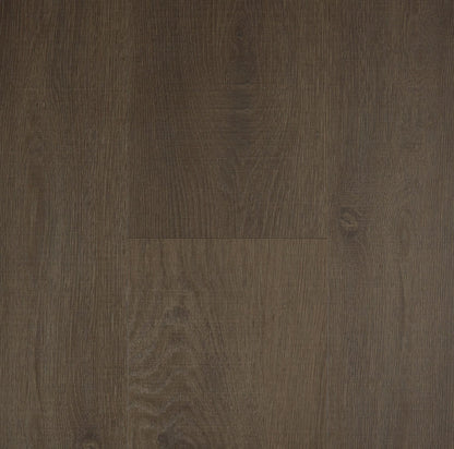 Preference Lifestyle Hybrid