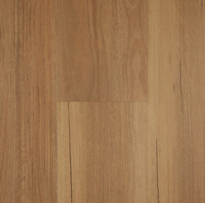 Classic Spotted Gum