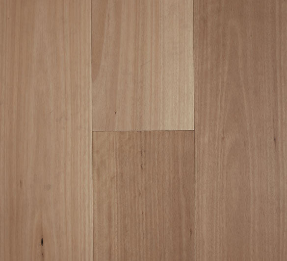 Preference Fiddleback Hardwood Smooth Blackbutt Swatch 14/3mm