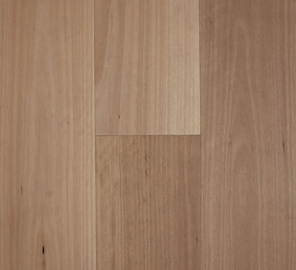 Preference Fiddleback Hardwood Smooth Blackbutt Swatch 14/3mm