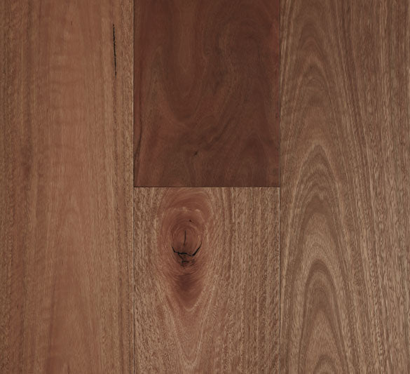 Preference Fiddleback Hardwood Smooth Spotted Gum Swatch 14/3mm