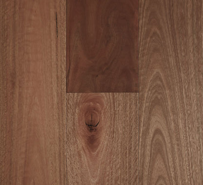Preference Fiddleback Hardwood Smooth Spotted Gum Swatch 14/3mm