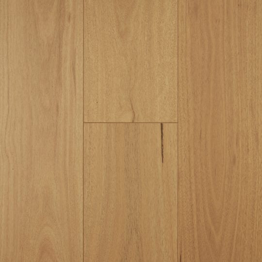 Preference Aspect Laminate Australian Species Blackbutt Swatch 12mm