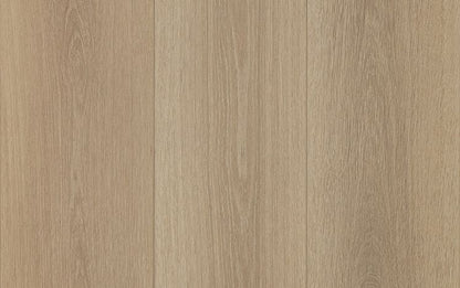 Australian Select Timbers Reflections LifeStyle+ Laminate 8mm – Lantern Glow Swatch