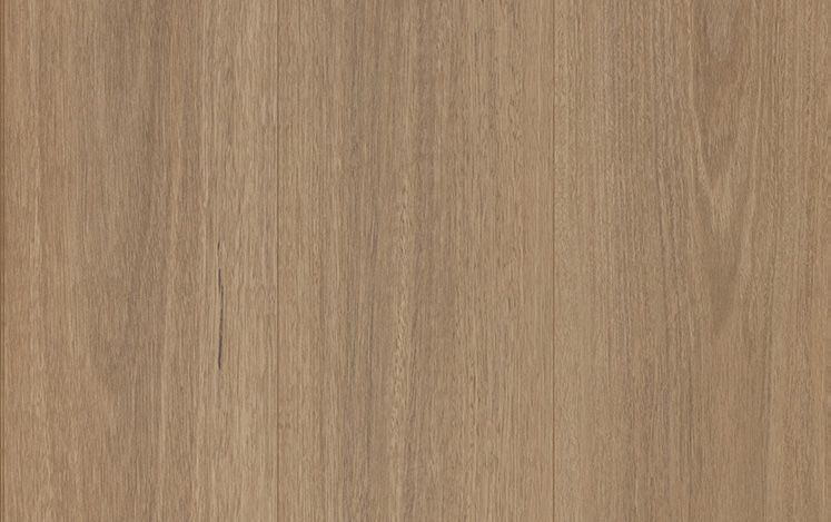 Australian Select Timbers Reflections LifeStyle+ Laminate 8mm – Snowy Spotted Gum Swatch
