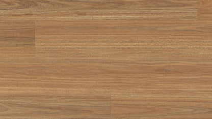 Clever Choice Enchanted Hybrid 7.5mm
