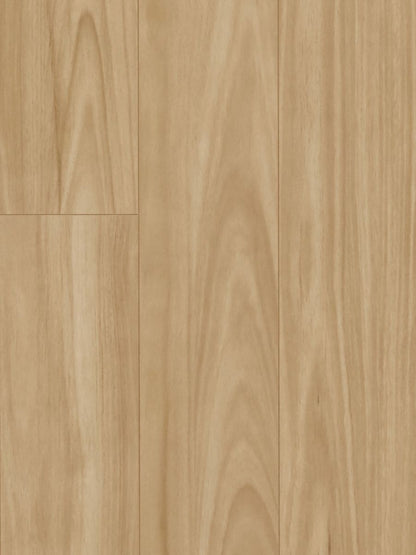 HTT MTF Laminate AC4 12.3mm