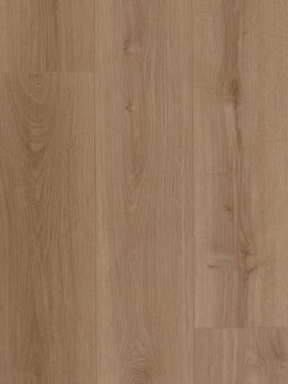HTT MTF Laminate AC4 12.3mm