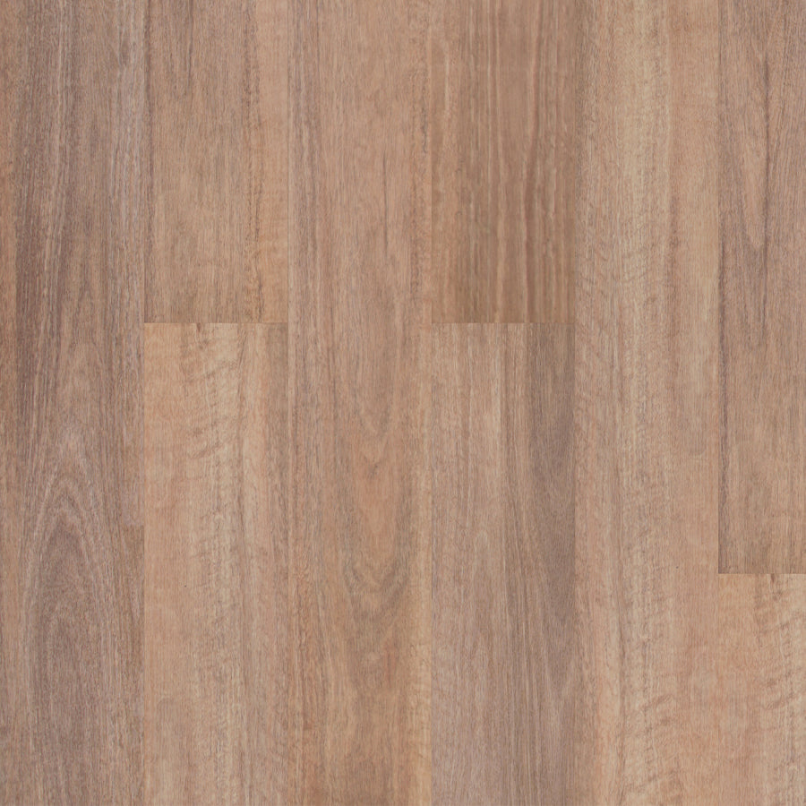 Premium Floors Titan Home Natural Spotted Gum Swatch