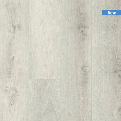 Premium Titan Hybrid XXL 6mm