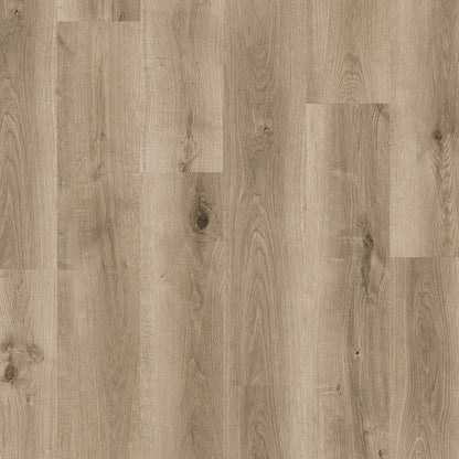 Premium Titan Hybrid 6mm