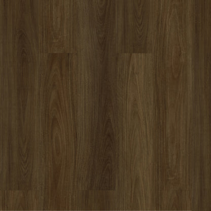 Premium Titan Hybrid Home 5mm