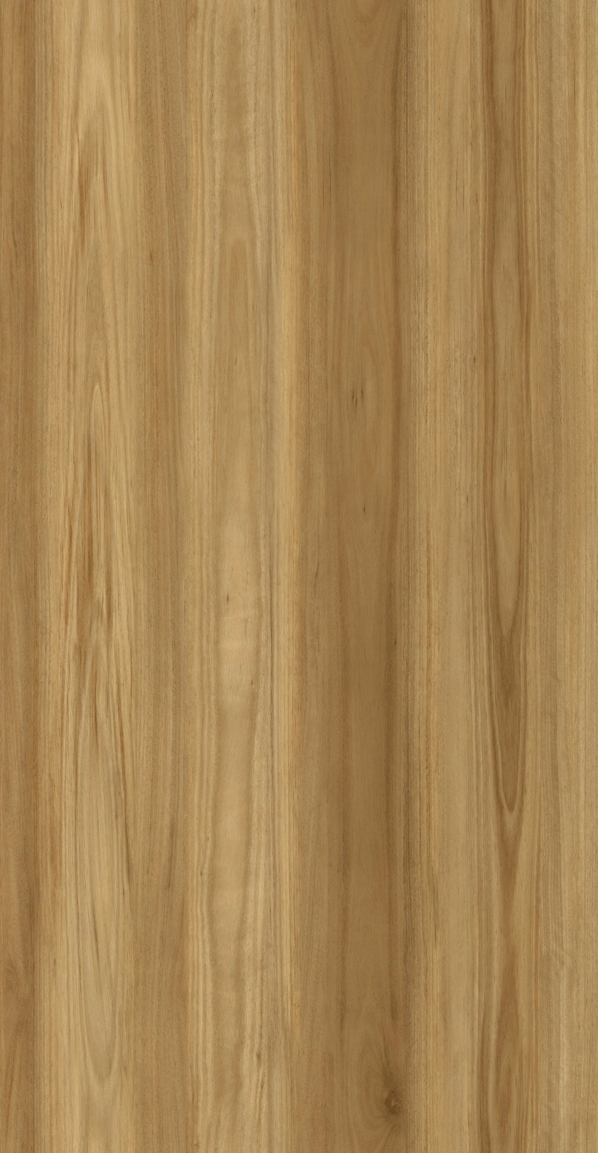 ArtiFloor Timberland Luxury Vinyl Plank Flooring 4.5mm Blackbutt Swatch