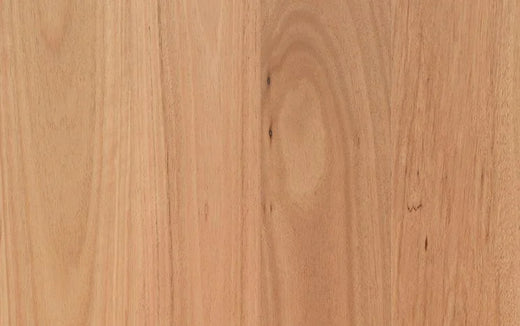 Australian Select Timbers Opulence Native Engineered Timber Flooring 14/3mm 136mm Coastal Blackbutt 1820mm Square Edge Swatch