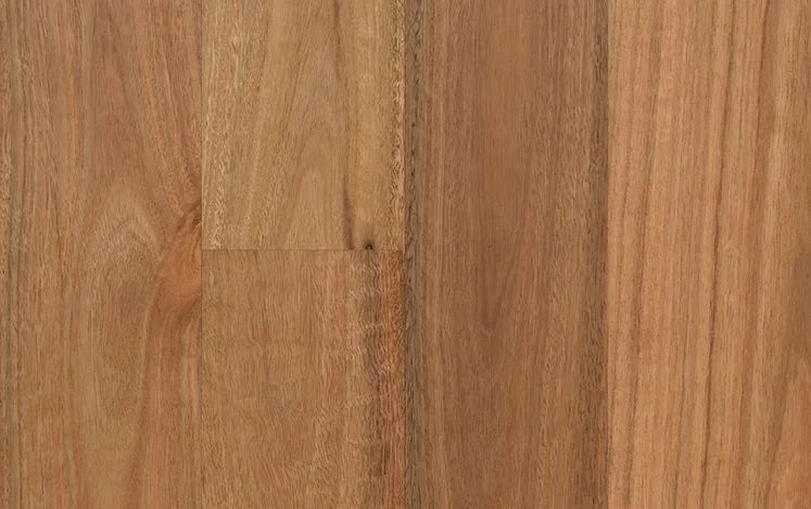 Australian Select Timbers Opulence Native Engineered Timber Flooring 14/3mm 136mm Spotted Gum 2130mm Square Edge Swatch