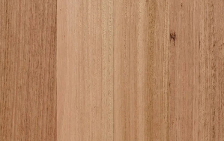 Australian Select Timbers Opulence Native Engineered Timber Flooring 14/3mm 136mm Tasmanian Oak 1820mm Square Edge Swatch
