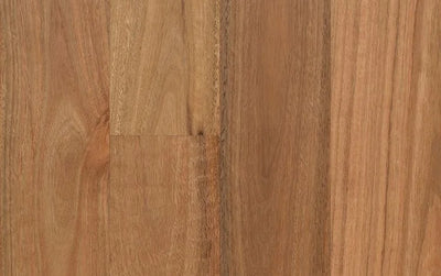 Australian Select Timbers Opulence Native Engineered Timber Flooring 14/3mm 180mm Spotted Gum Swatch