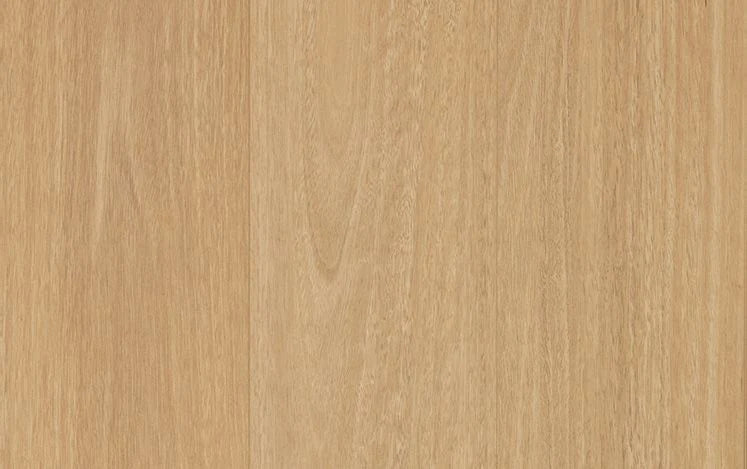 Australian Select Timbers Reflections LifeStyle+ Laminate Flooring 8mm Mawson Blackbutt Swatch