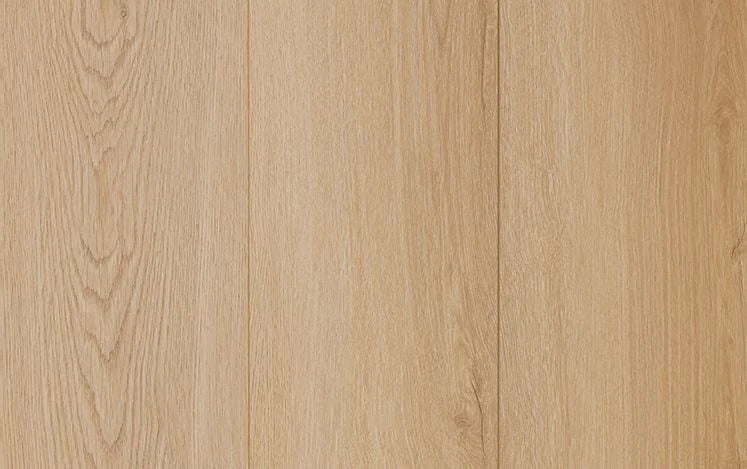 Australian Select Timbers Reflections LifeStyle+ Laminate Flooring 8mm Sand Drift Swatch