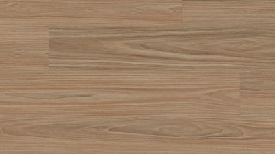 Clever Choice Enchanted Hybrid 7.5mm – Hylia Blackbutt flooring swatch