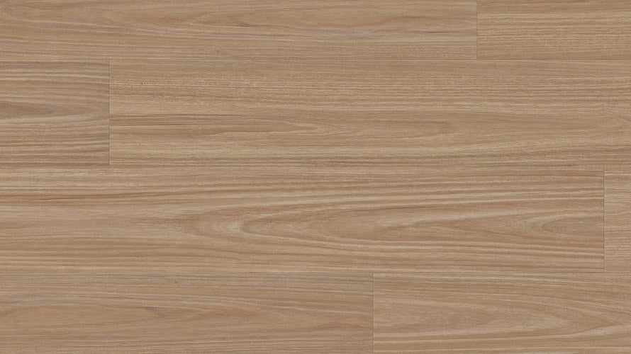 Clever Choice Enchanted Hybrid 7.5mm – Titania Blackbutt flooring swatch