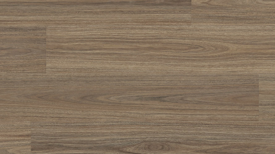 Clever Choice Enchanted Hybrid 7.5mm – Titania Spotted Gum flooring swatch
