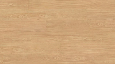 Clever Choice Hydro Merit AC4 Laminate Flooring 12mm Crimson Ruby Blackbutt Swatch