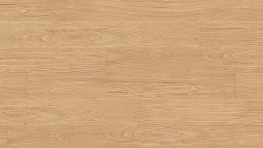 Clever Choice Hydro Merit AC4 Laminate Flooring 12mm Crimson Ruby Blackbutt Swatch