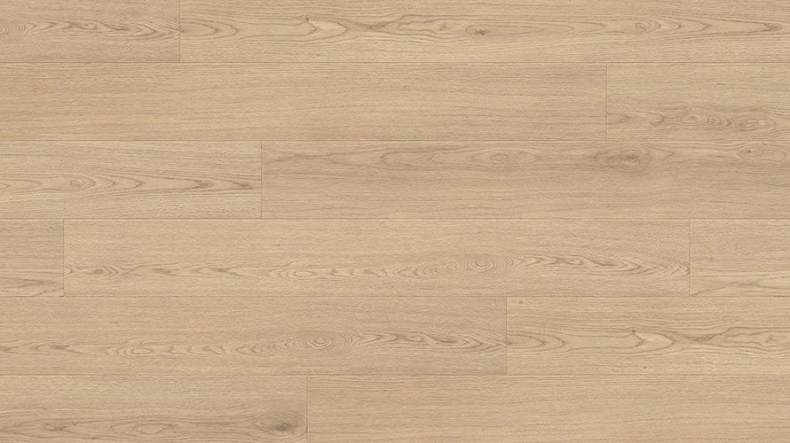Clever Choice Hydro Merit AC4 Laminate Flooring 12mm Jade Forest Swatch