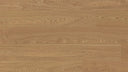 Desert Sand
