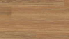 Mosswood Spotted Gum flooring colour