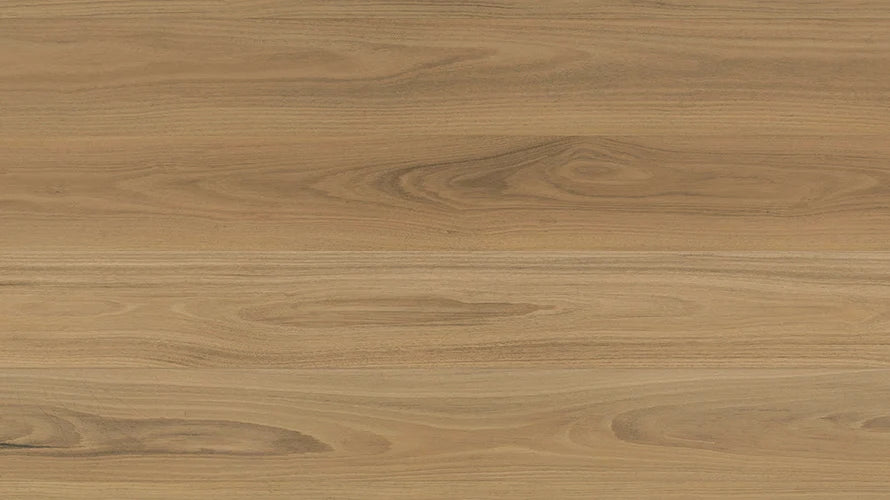 Clever Choice Shield Everlast Laminate Flooring 10mm Atlantic Blackbutt flooring swatch
