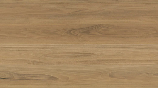 Clever Choice Shield Everlast Laminate Flooring 10mm Atlantic Blackbutt flooring swatch