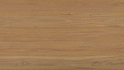 Clever Choice Shield Everlast Laminate Flooring 10mm Atlantic Spotted Gum flooring swatch